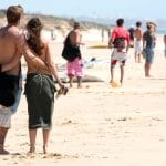 Feriados impulsionam o turismo no litoral do Pará: retomada, desafios e novas oportunidades para a economia regional