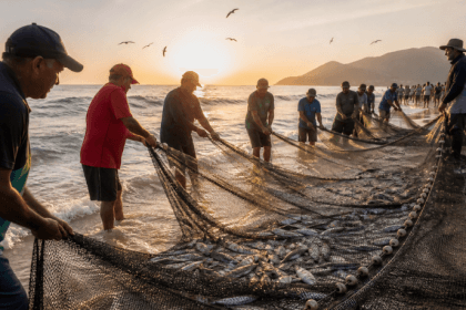 Pesca da tainha em Santa Catarina impulsiona economia e preserva tradição no litoral