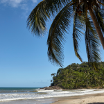 Turismo no litoral brasileiro impulsiona economia em 2026: por que as cidades costeiras continuam atraindo investimentos e visitantes?