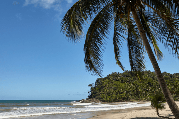 Turismo no litoral brasileiro impulsiona economia em 2026: por que as cidades costeiras continuam atraindo investimentos e visitantes?