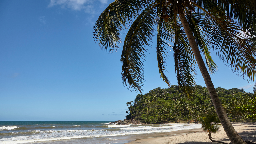 Turismo no litoral brasileiro impulsiona economia em 2026: por que as cidades costeiras continuam atraindo investimentos e visitantes?