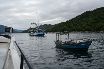 O Impacto da Fiscalização Ambiental na Preservação Marinha e a Sustentabilidade do Litoral