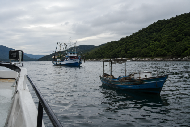 O Impacto da Fiscalização Ambiental na Preservação Marinha e a Sustentabilidade do Litoral