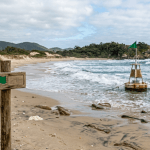 Boletins de balneabilidade agitam o litoral brasileiro nas férias de julho