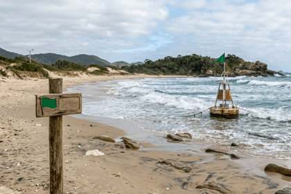 Boletins de balneabilidade agitam o litoral brasileiro nas férias de julho