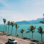Ilhabela transforma observação de aves em experiência de turismo e estilo de vida no litoral