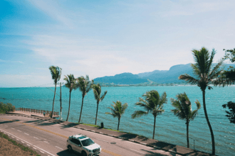 Ilhabela transforma observação de aves em experiência de turismo e estilo de vida no litoral