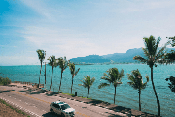 Ilhabela transforma observação de aves em experiência de turismo e estilo de vida no litoral
