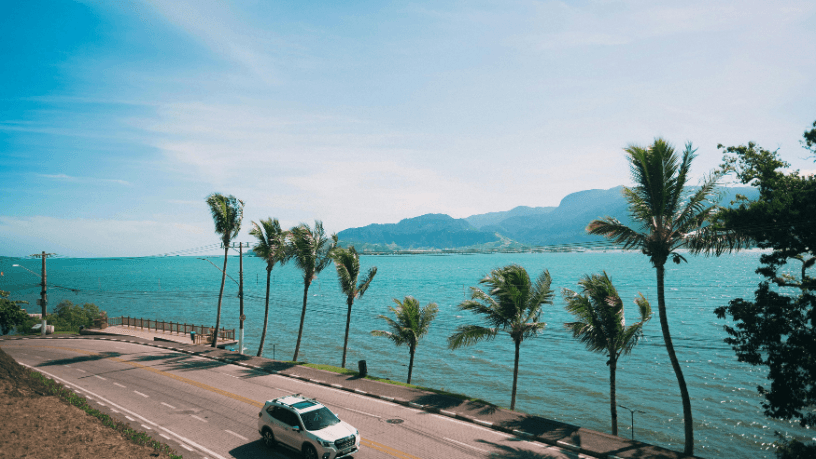 Ilhabela transforma observação de aves em experiência de turismo e estilo de vida no litoral