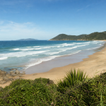 Praia do litoral de Santa Catarina com área de banho, faixa de areia e mar ao fundo